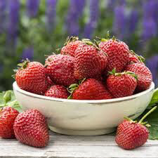 Strawberry 'Flavorfest'