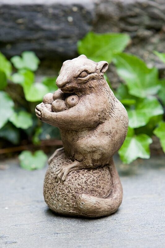 Autumn Chipmunk (BR)