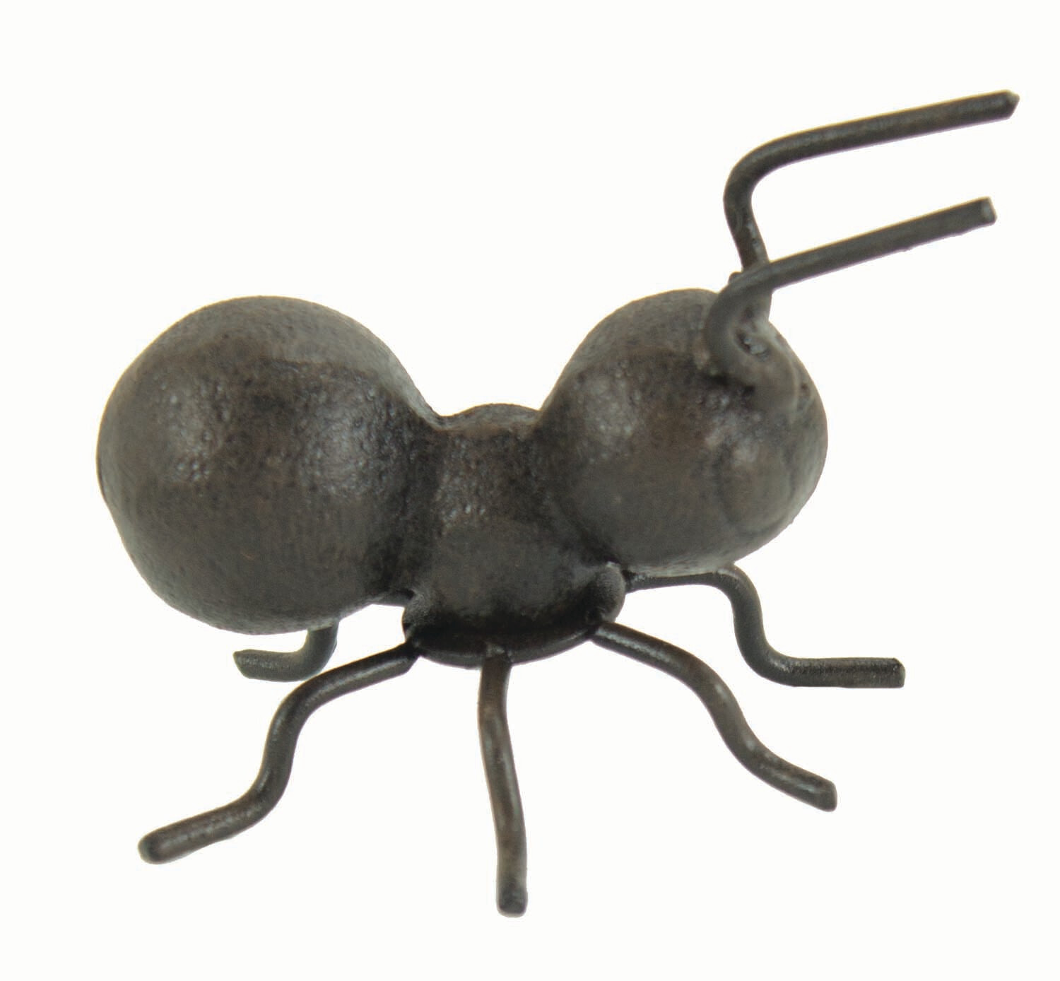 Ant metal