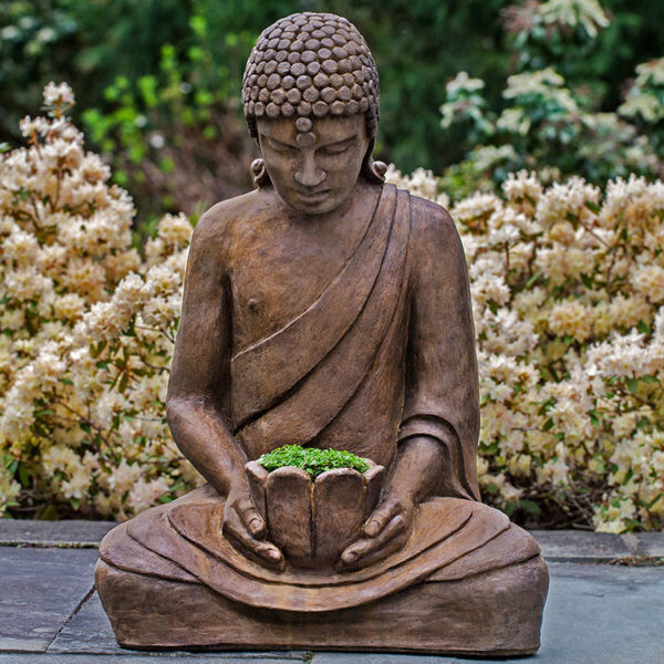 Lotus Buddha PN