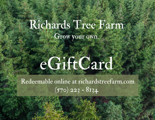 eGiftCard