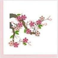 Quilling Cards - Cherry Blossom