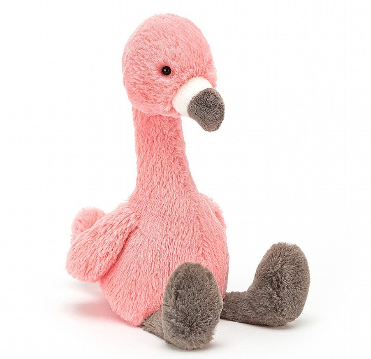 Bashful Flamingo Medium