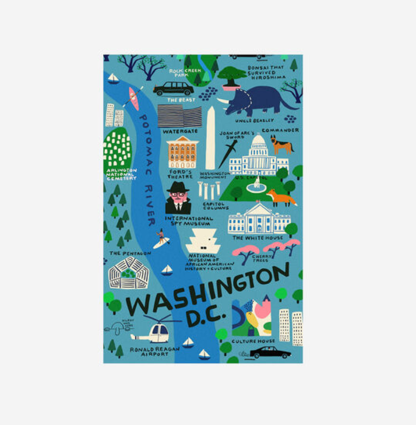 Washington DC Dish Towel