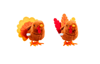 Wind Up Turkey Toy