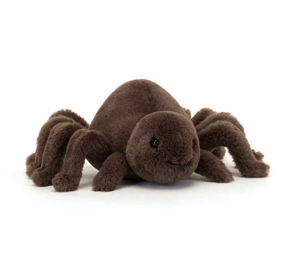 Ooky Spider