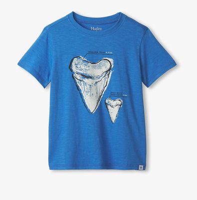 Hatley Megalodon Tooth Graphic Tee