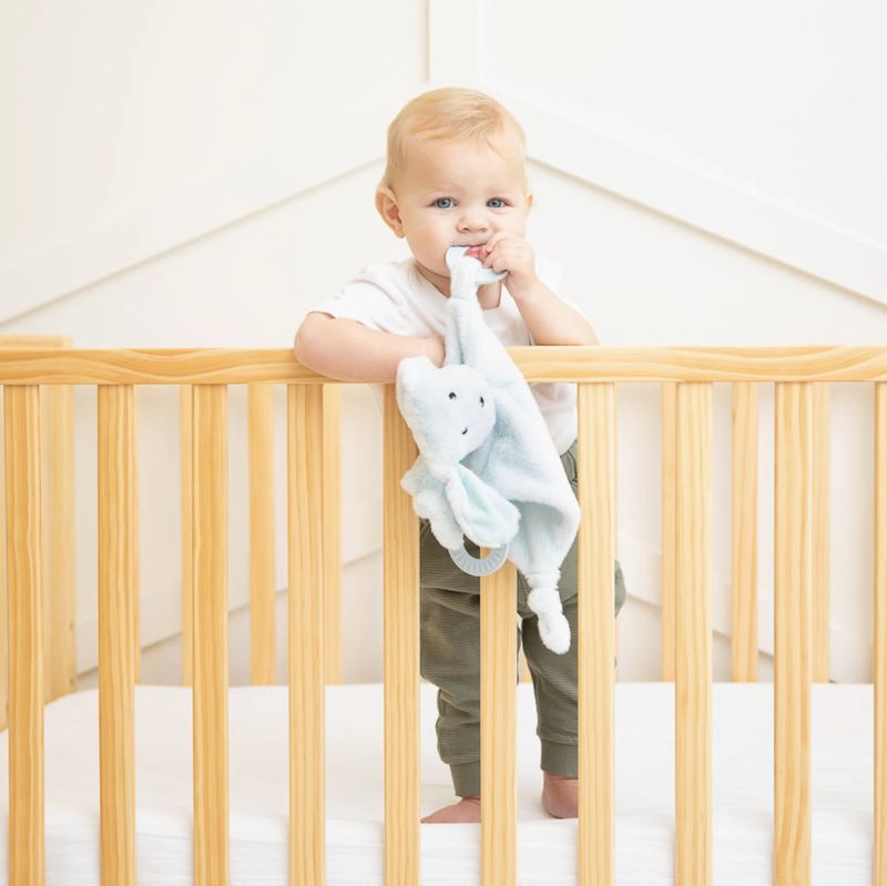 Bella Tunno Teether Buddy