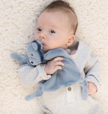 Bella Tunno Pacifier Buddy