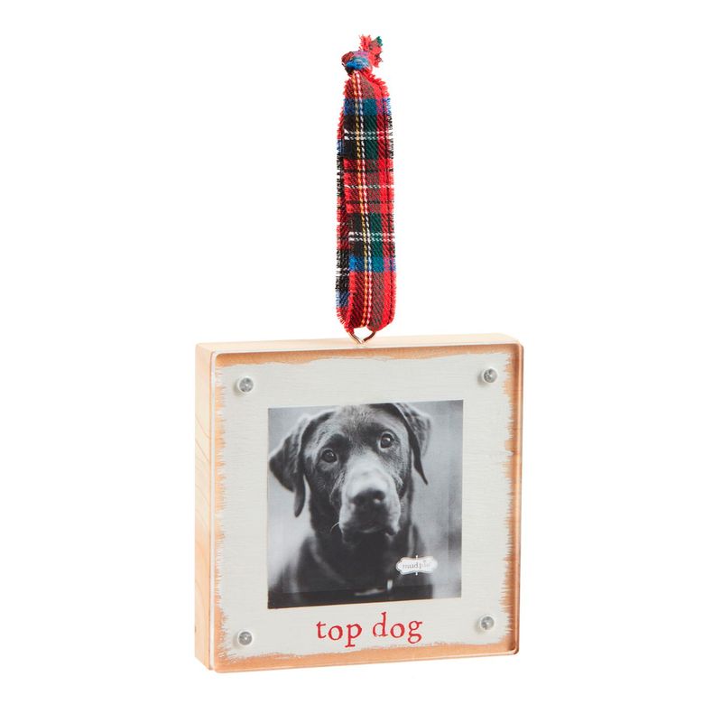 Top Dog Wood & Acrylic Frame