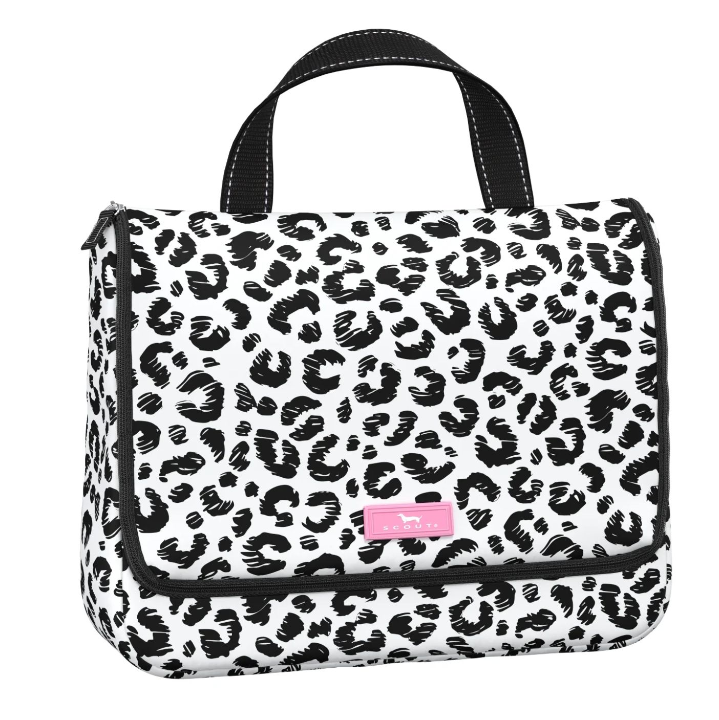 Beauty Gordito - Cat Skills