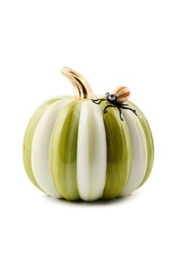 Mackenzie Fergal's Friend Spider on Pumpkin