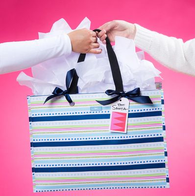 Large Package Gift Bag