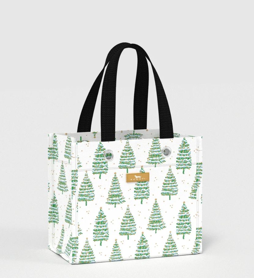 Gift Bag Small - Spruce Springsteen Gift Bag Small - Spruce Springsteen
