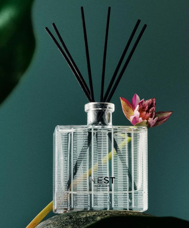 Nest Diffuser