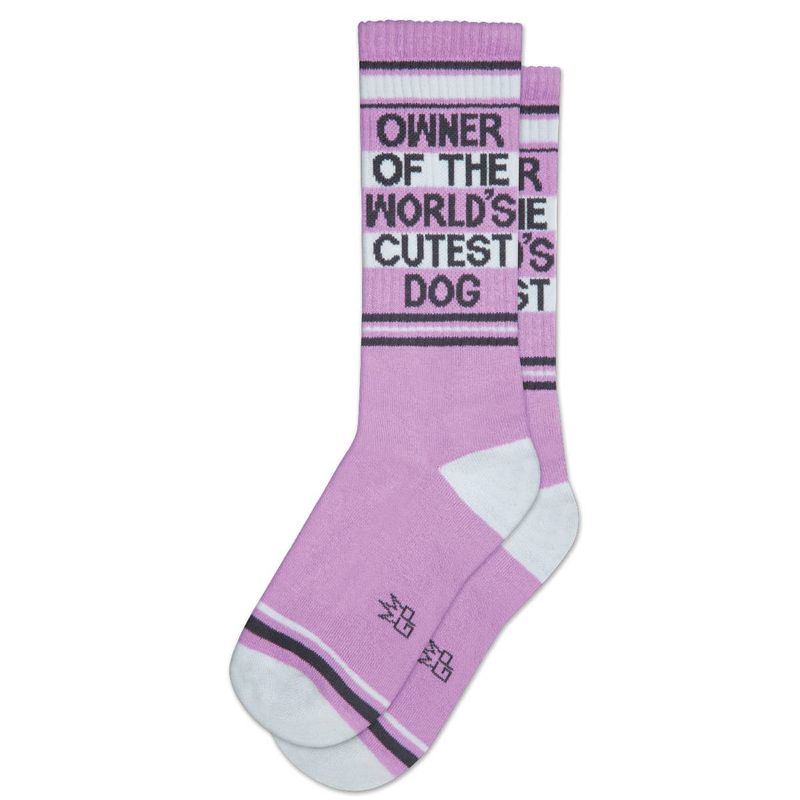 Gumball Poodle Socks - Owner Of The World's Cutest Dog