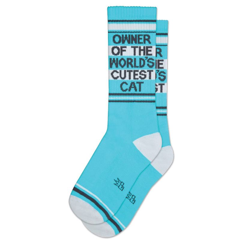 Gumball Poodle Socks -  Owner Of The World's Cutest Cat