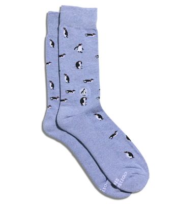 Conscious Socks - Penguins Conscious Socks - Penguins