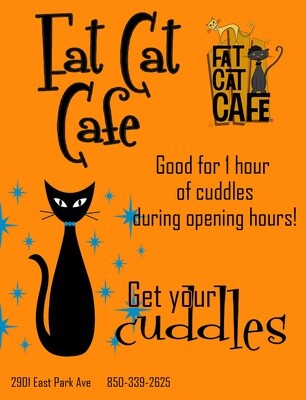 Cat Cafe Visit