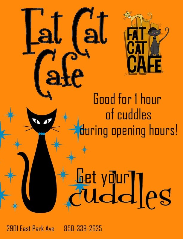 1 Hour Cuddle Room Pass