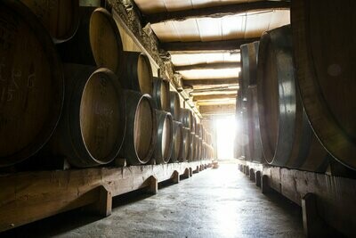Rotwein