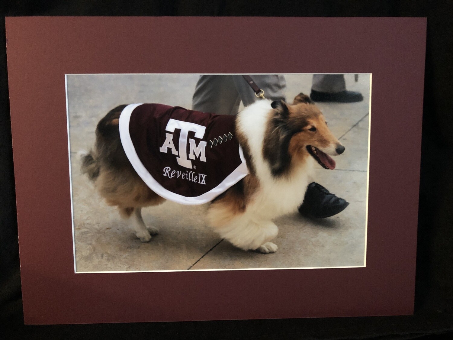 Reveille IX