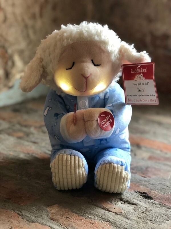 Cuddle Barn Pray With Me Pals - (🎵) Nate