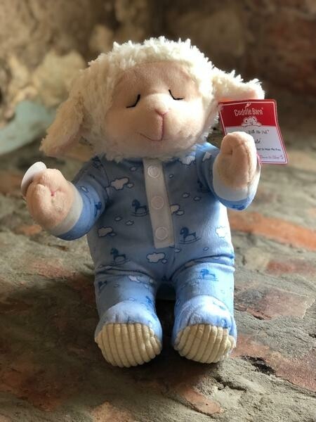 Cuddle Barn Pray With Me Pals - (🎵) Nate