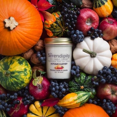 Serendipity 8 oz Soy Candle Jar | Autumn Harvest