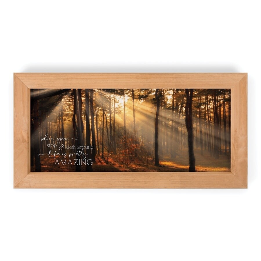 P.G. Dunn Framed Art - When You Stop And Look