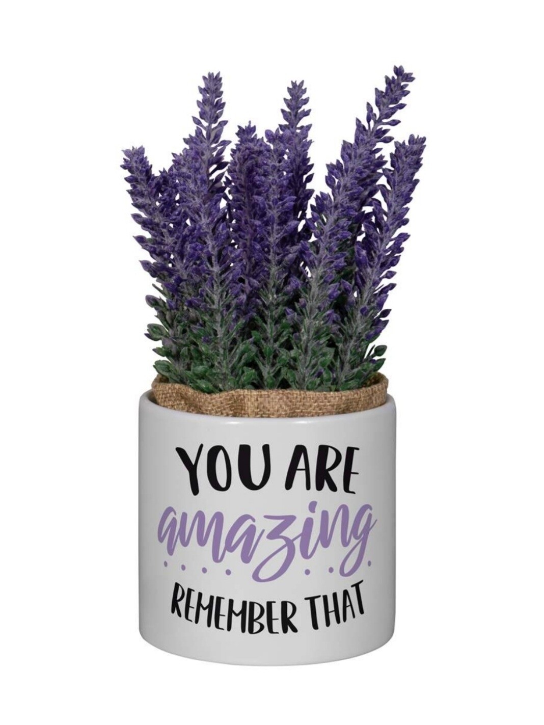 Potted Plant - You Are Amazing