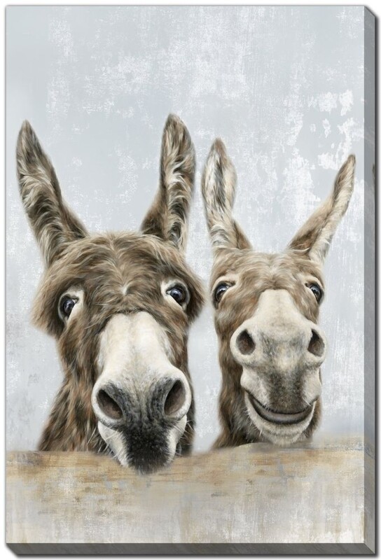 Canvas - The Donkeys