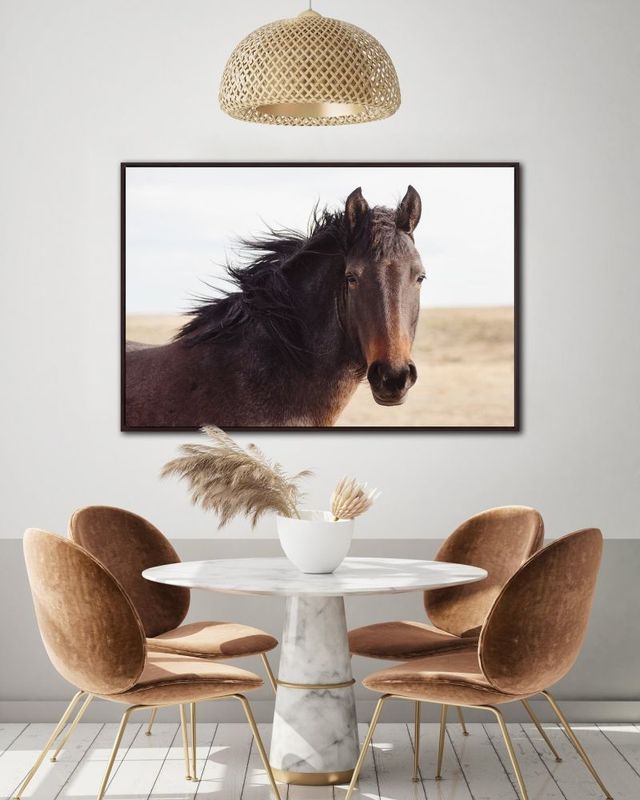 Canvas - Brown Horse