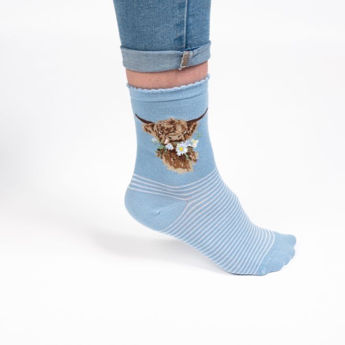 Wrendale Designs | 'Daisy Coo' highland cow socks