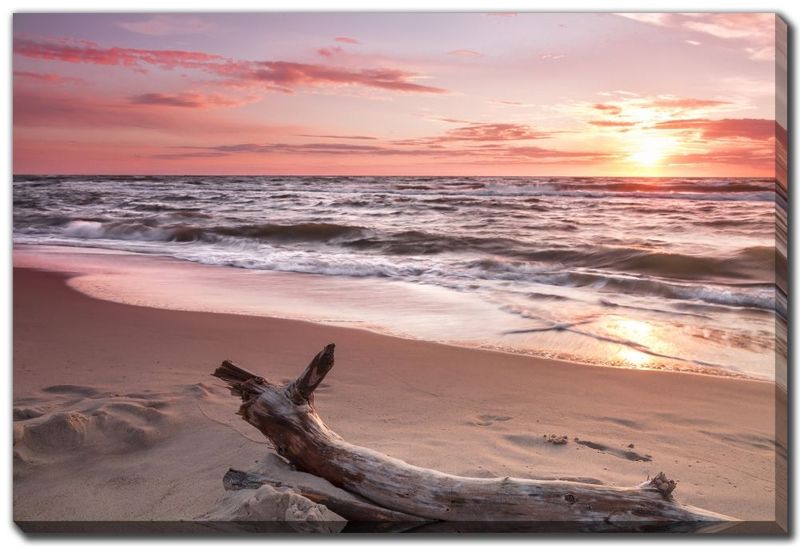 Canvas - Sunset &amp; Driftwood