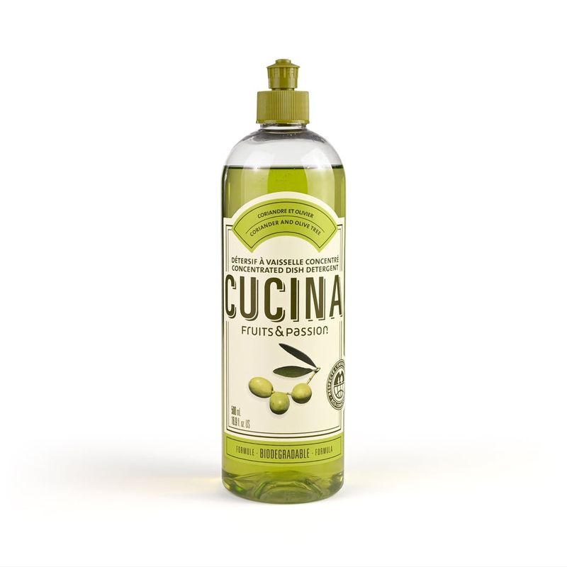 Fruits &amp; Passion 500ml Concentrated Dish Detergent | Coriander and Olive Tree