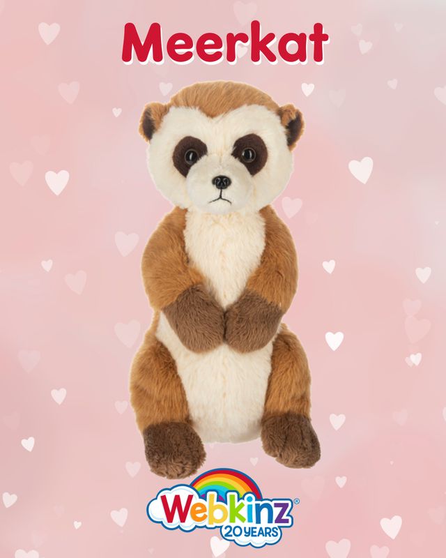 Webkinz | Meerkat