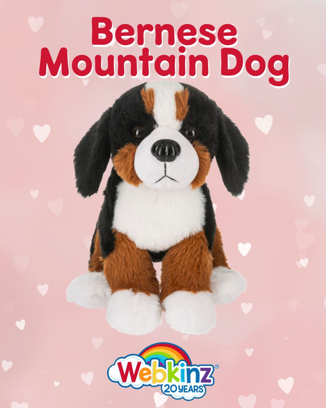 Webkinz | Bernese Mountain Dog