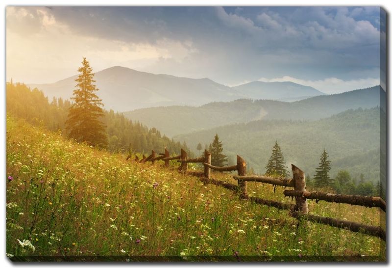 Canvas - Carpathian Mountain Forest