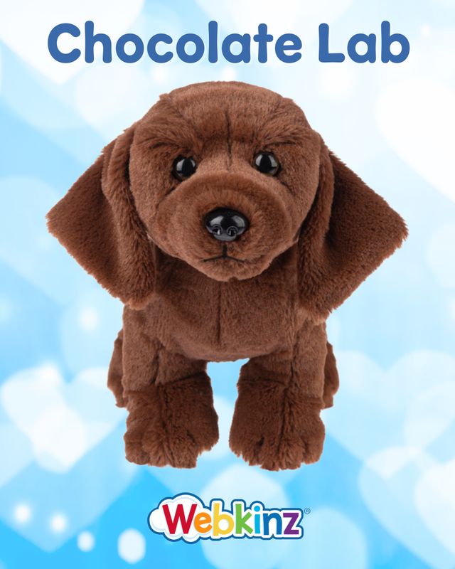 Webkinz | Chocolate Lab