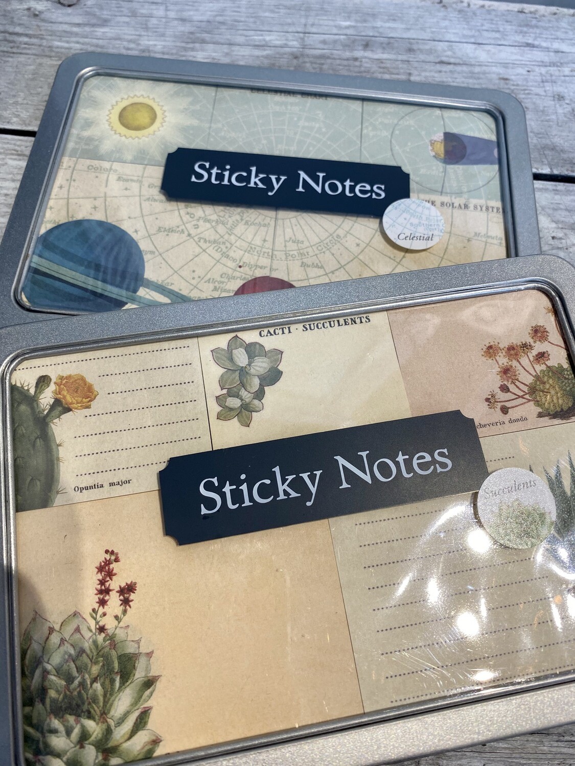 Cavallini Sticky Note Set