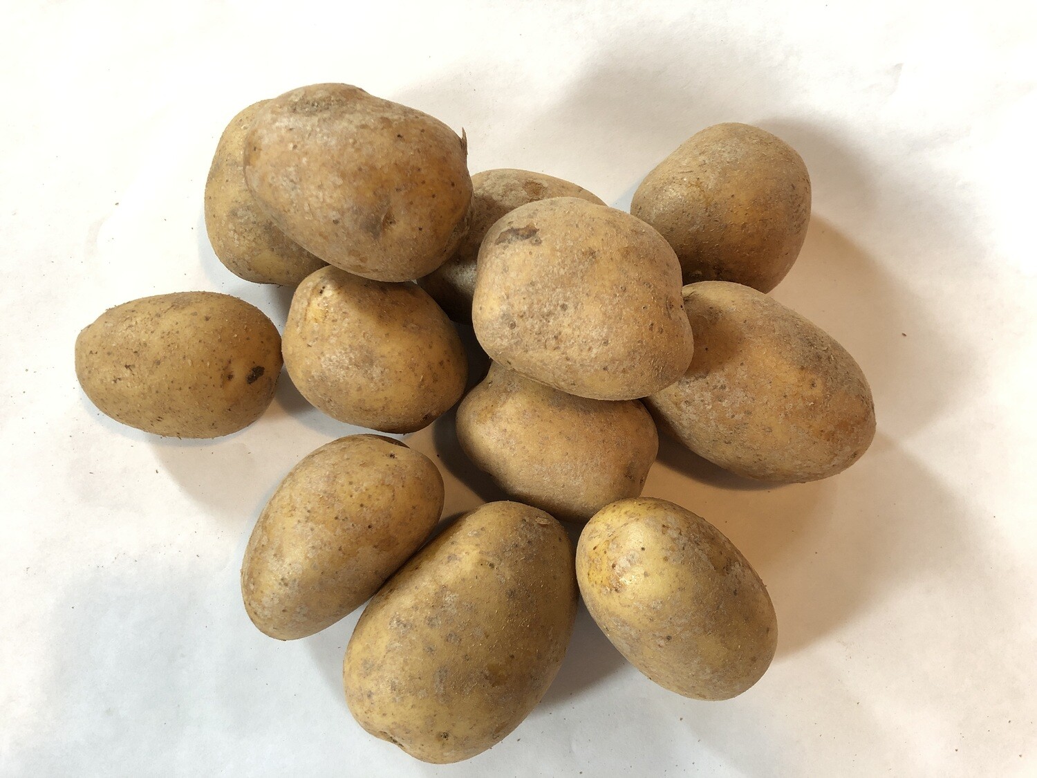 Organic Small Yukon Potatoes