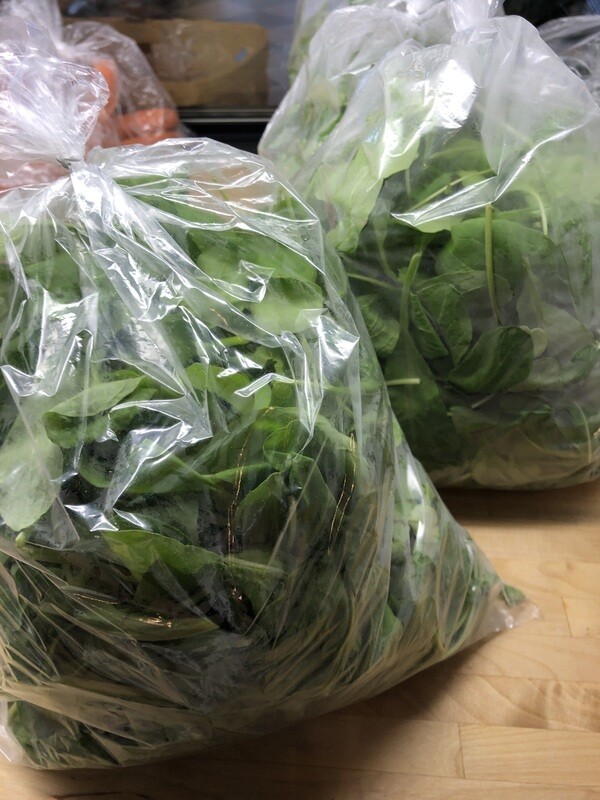 Organic Baby Arugula