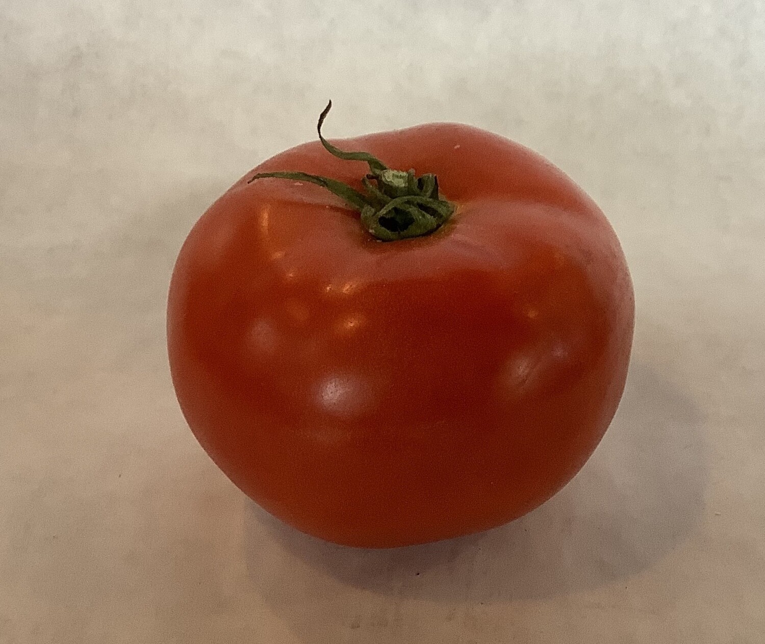 Organic Hot House Slicing Tomato