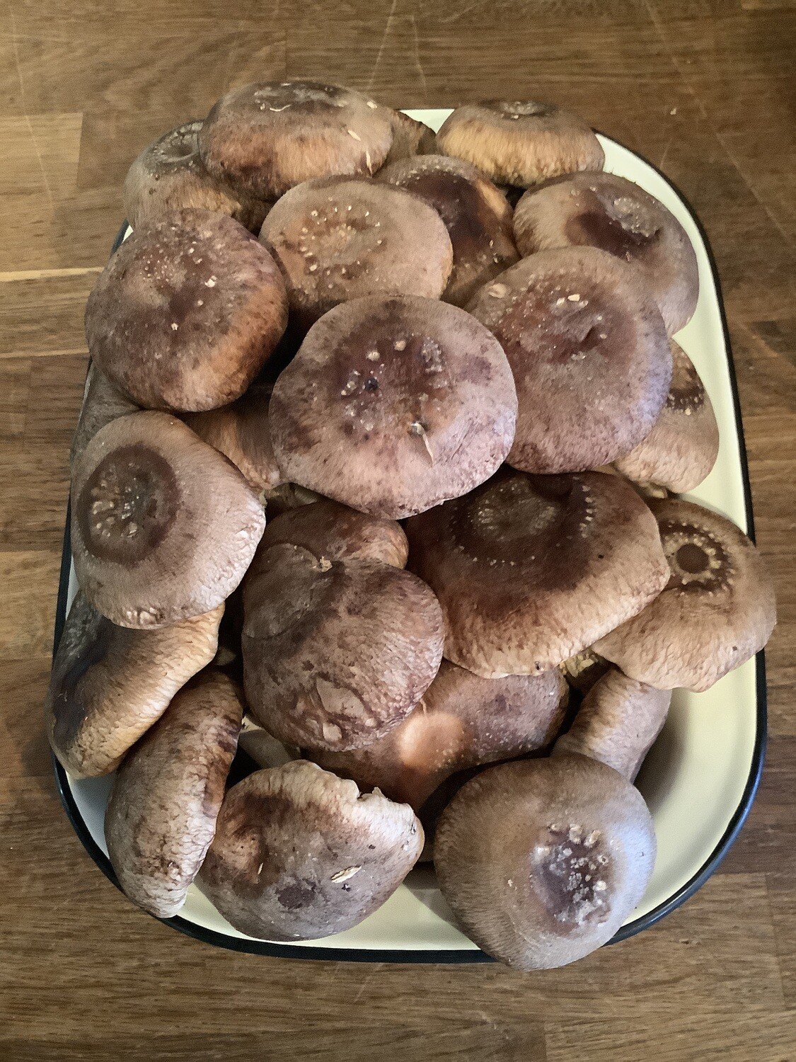 Organic Shiitake Mushrooms Organic Shiitake Mushrooms