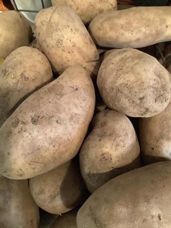 Baking Potatoes Baking Potatoes