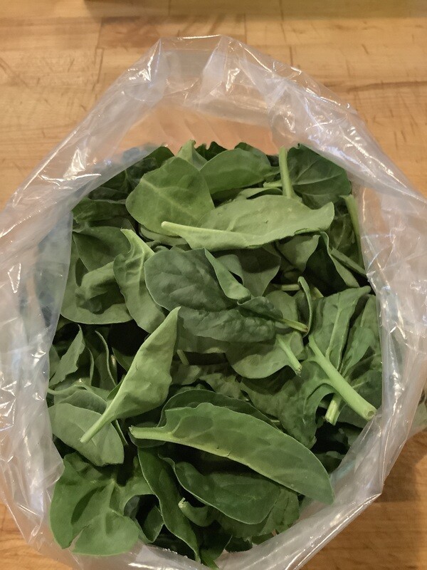 Organic Baby Spinach