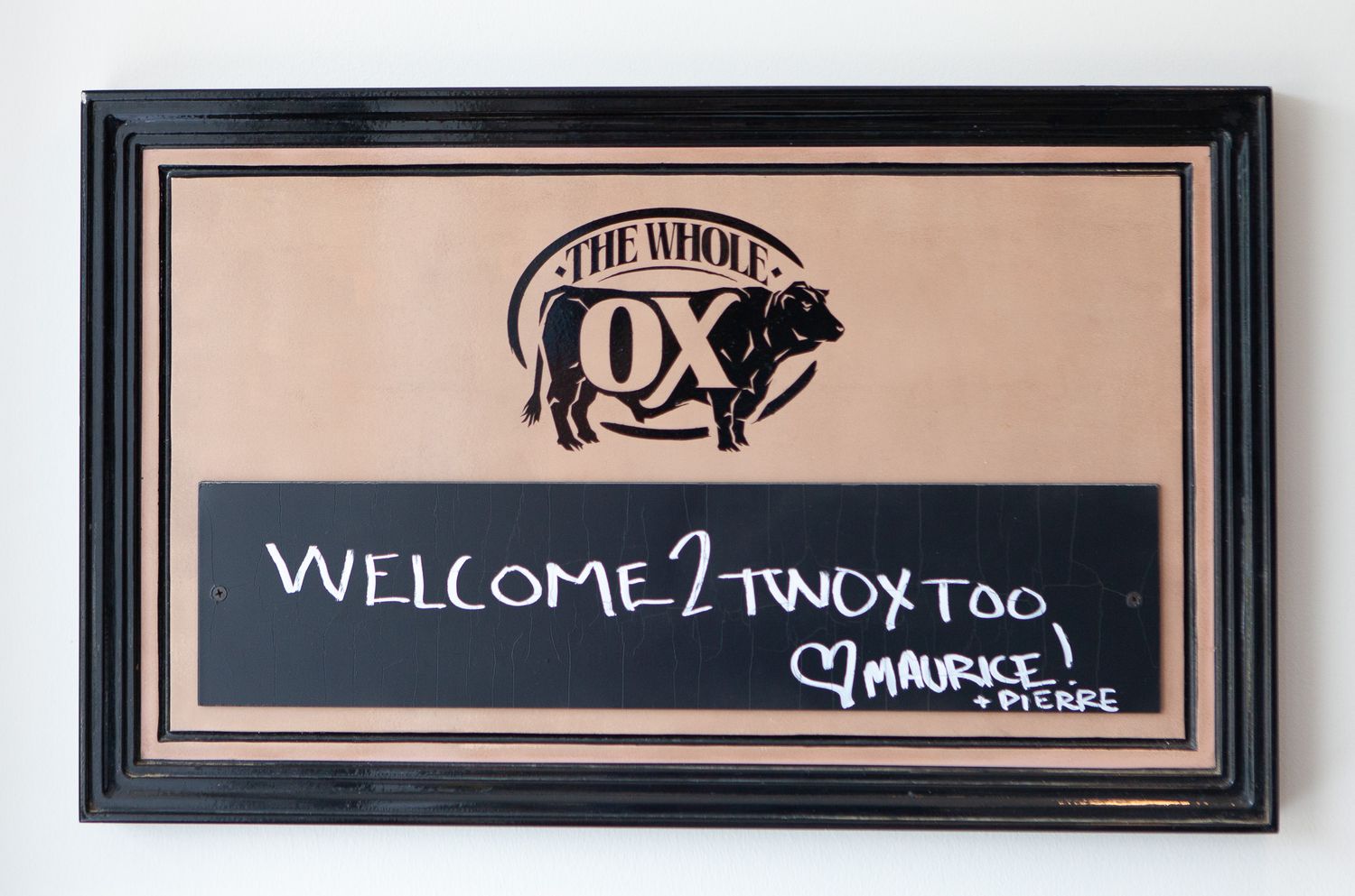 The Whole Ox Too &quot;Teaser Page&quot;