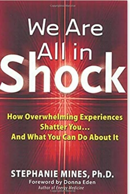 We Are All In Shock: How Overwhelming Experiences Shatter You...And What You Can Do About It