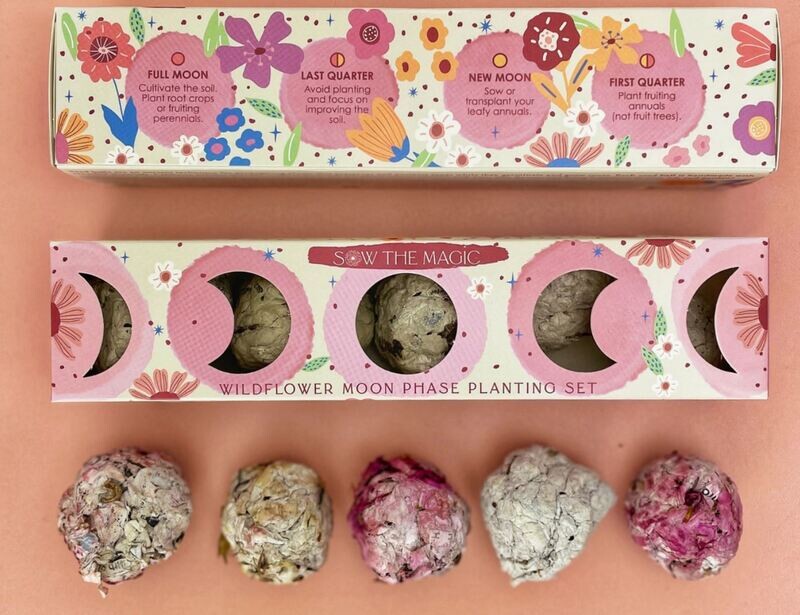 Moon Phase Wild Flower Seed Planting Set